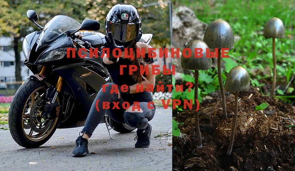 прущие грибы Покачи