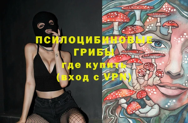 трава Армянск