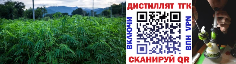 наркота  Сосновый Бор  Дистиллят ТГК вейп 