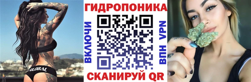 наркота  Сосновый Бор  Бошки Шишки семена 